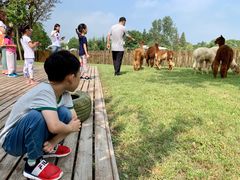 -太阳岛度假酒店