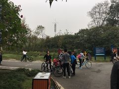 -白鹭湾湿地公园