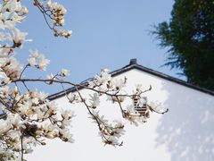 -留园