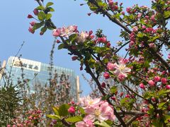 -海棠花溪(元大都城垣遗址公园)