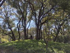 -徐家汇源景区-衡山公园