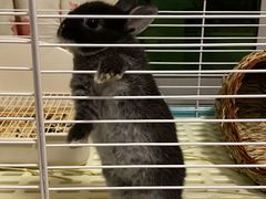 -龙猫仔乐园(惠福东路店)