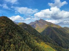 -牛背梁国家森林公园