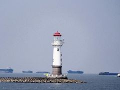 -上海滨江森林公园