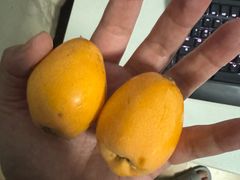 -陇南批发市场