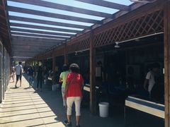 -亲兄弟真人CS团建拓展基地