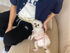 -怪兽屋·羊驼·猫咖·狗咖(俊华广场店)