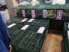 -荔城生鲜盛宴(番禺旗舰店)