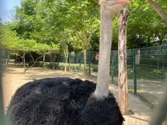 -宿豫区运河湾森林动物园