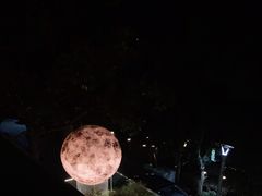 -恬阿姨庭院餐厅·生日宴