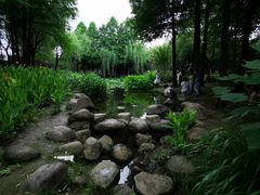 -陈家山荷花公园