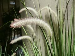 -梅间堂茶馆(绿地缤纷城店)