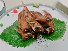 -蝶园·装修中(BFC外滩金融中心店)