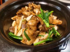 砂锅啫牛蛙煲-新旺茶餐厅(嘉里城店)