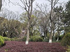 -汤山公园