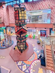 -卡通尼·Safari非洲探索乐园·生日会(金桥国际商业广场店)