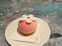 -莎琳娜食品有限公司·蛋糕店