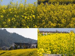 -南北湖风景区