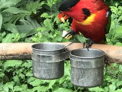 -南宫五洲植物乐园