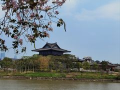 -海珠湖公园