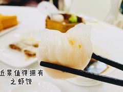 宾馆虾饺王-番禺宾馆丽苑厅