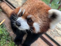 -云南野生动物园