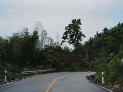 -大围山国家森林公园
