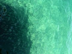 -东姑阿都拉曼海洋公园