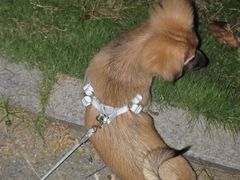 -宠颐生宠物医院·骨外科·犬猫全科诊疗中心(池州店)