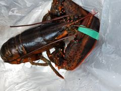 -盒马鲜生(宝地店)