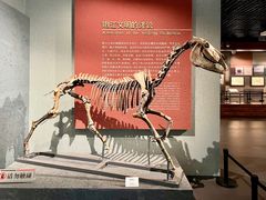 -齐齐哈尔市博物馆