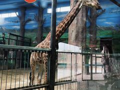 -鄂尔多斯野生动物园