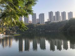 -重庆彩云湖湿地公园