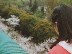 -武汉大学-樱园