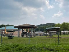 -哈尔滨北方森林动物园