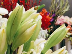 -HELEN FLORAL DESIGN(海上世界文化艺术中心店)