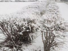 -米兰马尔彭萨国际机场