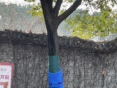 -祥源·阜阳生态乐园