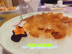 -宝燕壹号(徐汇店)