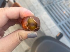 糖炒栗子-秋栗香(地安门店)