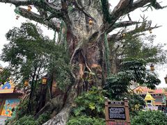 -深圳锦绣中华民俗村