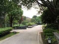 -逸林轩中餐厅(中信泰富朱家角锦江酒店)