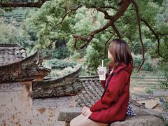 -杨家堂村
