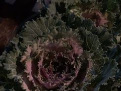 -瓦库茶馆17号(海汇港店)