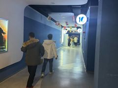 -幸福蓝海国际影城(河西店)