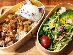 -猫小院猫主题餐厅(三里屯店)