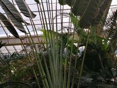 -龙达温泉生态城
