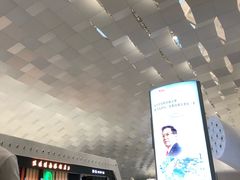 -陈鹏鹏潮汕菜(宝安机场T3航站楼店)