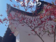 -乌山风景区