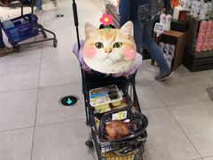 -盒马鲜生(观音桥店)